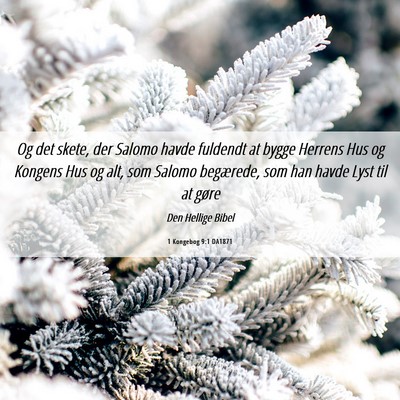 Picture 06 - 1 Kongebog 9:1 DA1871 - Og det skete, der Salomo havde fuldendt at bygge - Bible Verse Picture