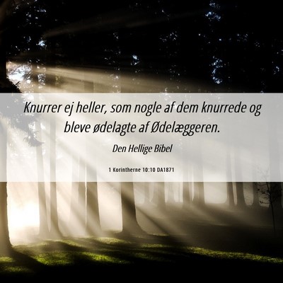 Picture 06 - 1 Korintherne 10:10 DA1871 - Knurrer ej heller, som nogle af dem knurrede og - Bible Verse Picture