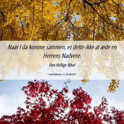 Picture 06 - 1 Korintherne 11:20 DA1871 - Naar I da komme sammen, er dette ikke at æde en - Bible Verse Picture