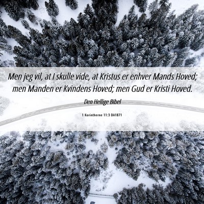 Picture 06 - 1 Korintherne 11:3 DA1871 - Men jeg vil, at I skulle vide, at Kristus er - Bible Verse Picture