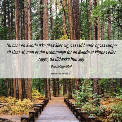 Picture 06 - 1 Korintherne 11:6 DA1871 - Thi naar en Kvinde ikke tildækker sig, saa lad - Bible Verse Picture