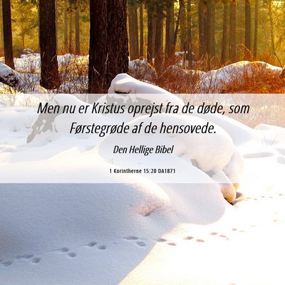 Picture 06 - 1 Korintherne 15:20 DA1871 - Men nu er Kristus oprejst fra de døde, som - Bible Verse Picture