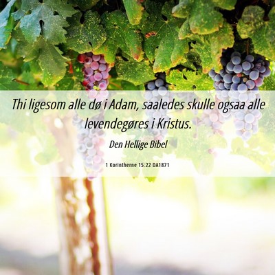 Picture 06 - 1 Korintherne 15:22 DA1871 - Thi ligesom alle dø i Adam, saaledes skulle - Bible Verse Picture
