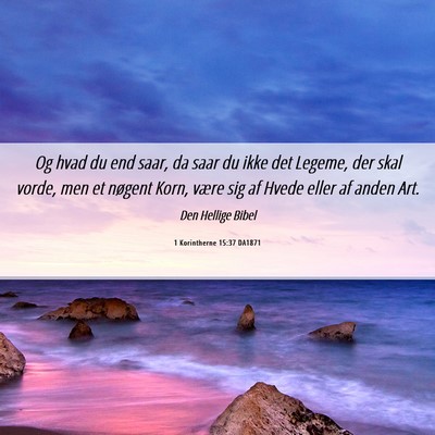 Picture 06 - 1 Korintherne 15:37 DA1871 - Og hvad du end saar, da saar du ikke det Legeme, - Bible Verse Picture