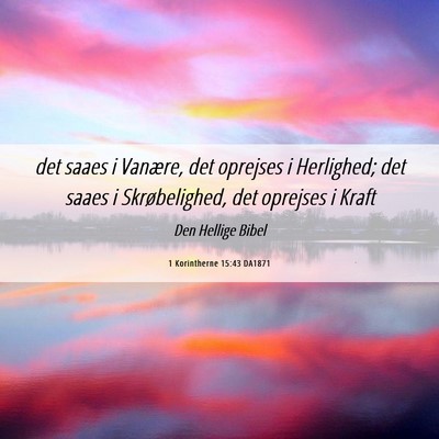 Picture 06 - 1 Korintherne 15:43 DA1871 - det saaes i Vanære, det oprejses i Herlighed; - Bible Verse Picture