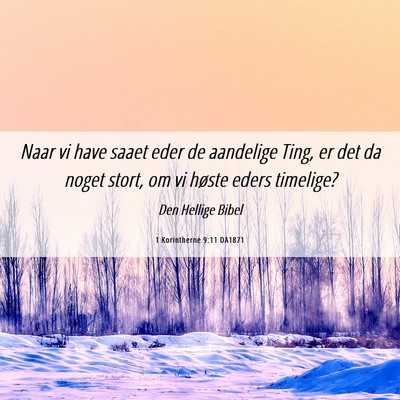 Picture 06 - 1 Korintherne 9:11 DA1871 - Naar vi have saaet eder de aandelige Ting, er det - Bible Verse Picture