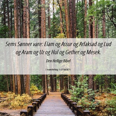 Picture 06 - 1 Krønikebog 1:17 DA1871 - Sems Sønner vare: Elam og Assur og Arfaksad og - Bible Verse Picture