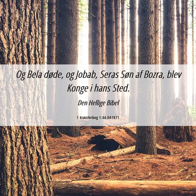 Picture 06 - 1 Krønikebog 1:44 DA1871 - Og Bela døde, og Jobab, Seras Søn af Bozra, - Bible Verse Picture