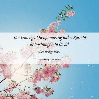 Picture 06 - 1 Krønikebog 12:16 DA1871 - Der kom og af Benjamins og Judas Børn til - Bible Verse Picture