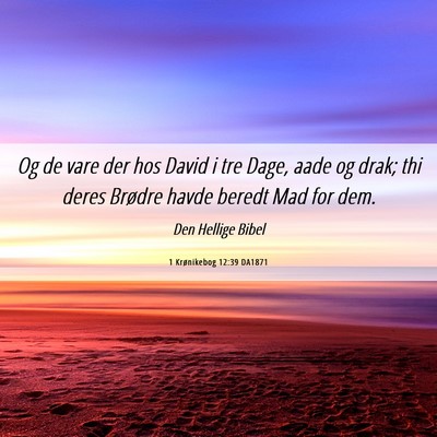Picture 06 - 1 Krønikebog 12:39 DA1871 - Og de vare der hos David i tre Dage, aade og - Bible Verse Picture