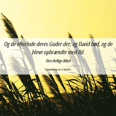 Picture 06 - 1 Krønikebog 14:12 DA1871 - Og de efterlode deres Guder der; og David bød, - Bible Verse Picture