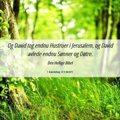 Picture 06 - 1 Krønikebog 14:3 DA1871 - Og David tog endnu Hustruer i Jerusalem, og David - Bible Verse Picture
