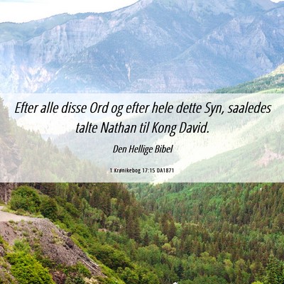 Picture 06 - 1 Krønikebog 17:15 DA1871 - Efter alle disse Ord og efter hele dette Syn, - Bible Verse Picture