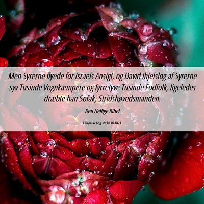 Picture 06 - 1 Krønikebog 19:18 DA1871 - Men Syrerne flyede for Israels Ansigt, og David - Bible Verse Picture