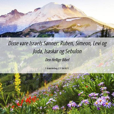 Picture 06 - 1 Krønikebog 2:1 DA1871 - Disse vare Israels Sønner: Ruben, Simeon, Levi - Bible Verse Picture