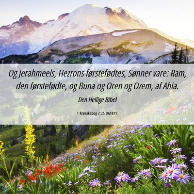 Picture 06 - 1 Krønikebog 2:25 DA1871 - Og Jerahmeels, Hezrons førstefødtes, Sønner - Bible Verse Picture