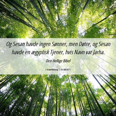 Picture 06 - 1 Krønikebog 2:34 DA1871 - Og Sesan havde ingen Sønner, men Døtre, og - Bible Verse Picture