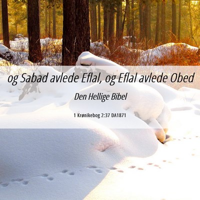 Picture 06 - 1 Krønikebog 2:37 DA1871 - og Sabad avlede Eflal, og Eflal avlede - Bible Verse Picture