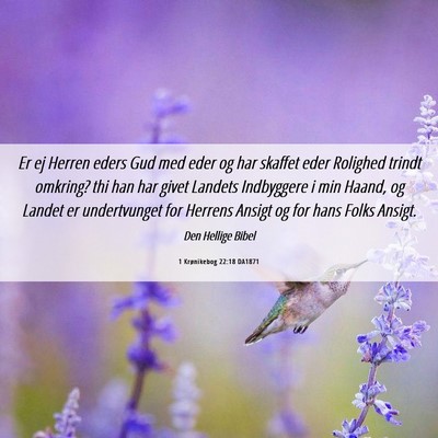 Picture 06 - 1 Krønikebog 22:18 DA1871 - Er ej Herren eders Gud med eder og har skaffet - Bible Verse Picture