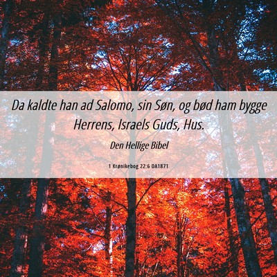 Picture 06 - 1 Krønikebog 22:6 DA1871 - Da kaldte han ad Salomo, sin Søn, og bød ham - Bible Verse Picture