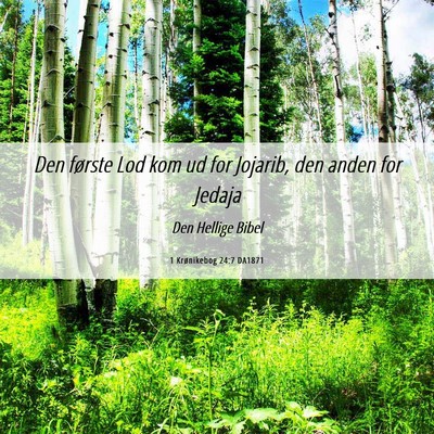 Picture 06 - 1 Krønikebog 24:7 DA1871 - Den første Lod kom ud for Jojarib, den anden for - Bible Verse Picture
