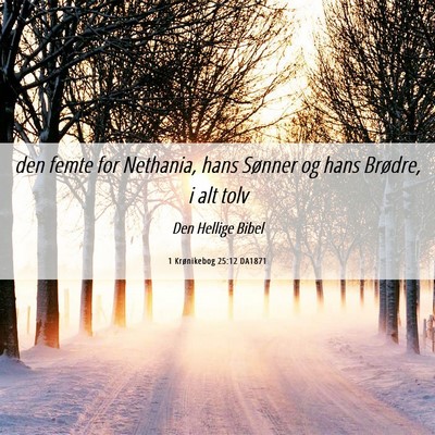 Picture 06 - 1 Krønikebog 25:12 DA1871 - den femte for Nethania, hans Sønner og hans - Bible Verse Picture