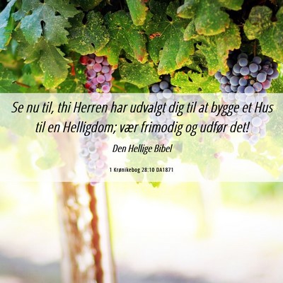 Picture 06 - 1 Krønikebog 28:10 DA1871 - Se nu til, thi Herren har udvalgt dig til at - Bible Verse Picture
