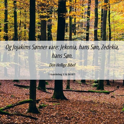 Picture 06 - 1 Krønikebog 3:16 DA1871 - Og Jojakims Sønner vare: Jekonia, hans Søn, - Bible Verse Picture