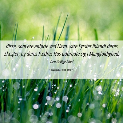 Picture 06 - 1 Krønikebog 4:38 DA1871 - disse, som ere anførte ved Navn, vare Fyrster - Bible Verse Picture