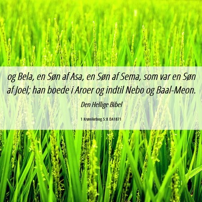 Picture 06 - 1 Krønikebog 5:8 DA1871 - og Bela, en Søn af Asa, en Søn af Sema, som var - Bible Verse Picture