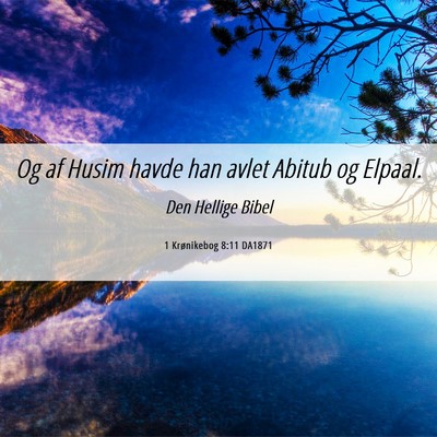 Picture 06 - 1 Krønikebog 8:11 DA1871 - Og af Husim havde han avlet Abitub og - Bible Verse Picture