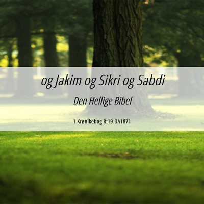 Picture 06 - 1 Krønikebog 8:19 DA1871 - og Jakim og Sikri og - Bible Verse Picture