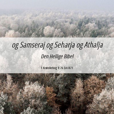 Picture 06 - 1 Krønikebog 8:26 DA1871 - og Samseraj og Seharja og - Bible Verse Picture