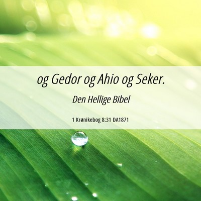 Picture 06 - 1 Krønikebog 8:31 DA1871 - og Gedor og Ahio og - Bible Verse Picture