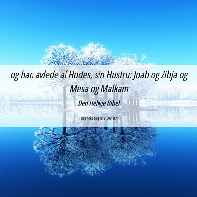 Picture 06 - 1 Krønikebog 8:9 DA1871 - og han avlede af Hodes, sin Hustru: Joab og Zibja - Bible Verse Picture