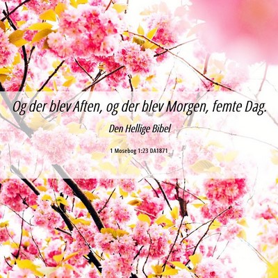Picture 06 - 1 Mosebog 1:23 DA1871 - Og der blev Aften, og der blev Morgen, femte - Bible Verse Picture
