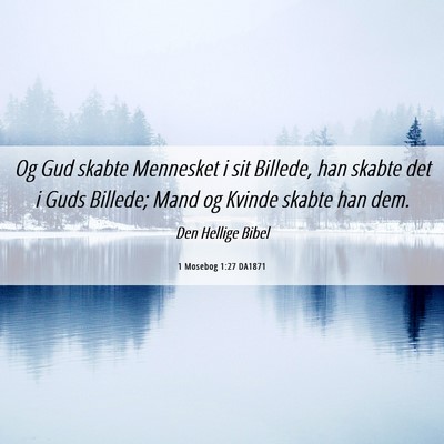 Picture 06 - 1 Mosebog 1:27 DA1871 - Og Gud skabte Mennesket i sit Billede, han skabte - Bible Verse Picture