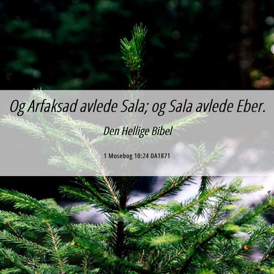 Picture 06 - 1 Mosebog 10:24 DA1871 - Og Arfaksad avlede Sala; og Sala avlede - Bible Verse Picture