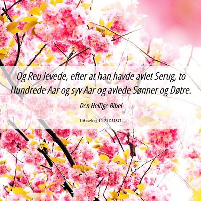 Picture 06 - 1 Mosebog 11:21 DA1871 - Og Reu levede, efter at han havde avlet Serug, to - Bible Verse Picture