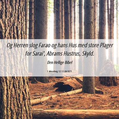 Picture 06 - 1 Mosebog 12:17 DA1871 - Og Herren slog Farao og hans Hus med store Plager - Bible Verse Picture