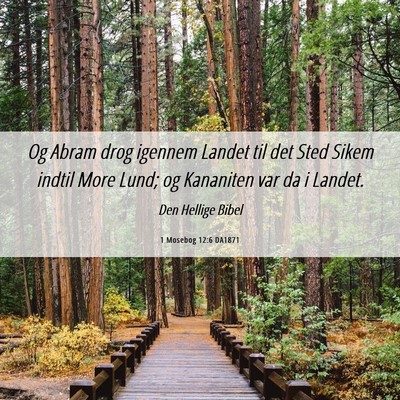 Picture 06 - 1 Mosebog 12:6 DA1871 - Og Abram drog igennem Landet til det Sted Sikem - Bible Verse Picture