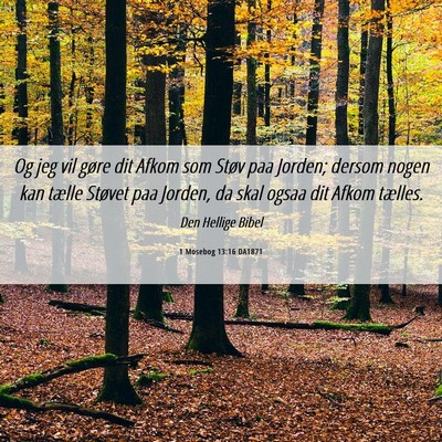 Picture 06 - 1 Mosebog 13:16 DA1871 - Og jeg vil gøre dit Afkom som Støv paa Jorden; - Bible Verse Picture