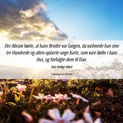 Picture 06 - 1 Mosebog 14:14 DA1871 - Der Abram hørte, at hans Broder var fangen, da - Bible Verse Picture