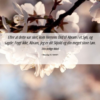 Picture 06 - 1 Mosebog 15:1 DA1871 - Efter at dette var sket, kom Herrens Ord til - Bible Verse Picture
