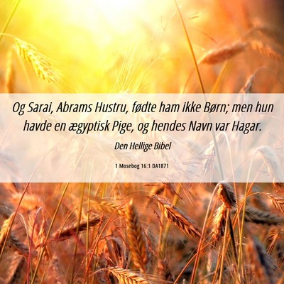 Picture 06 - 1 Mosebog 16:1 DA1871 - Og Sarai, Abrams Hustru, fødte ham ikke Børn; - Bible Verse Picture