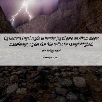 Picture 06 - 1 Mosebog 16:10 DA1871 - Og Herrens Engel sagde til hende: Jeg vil gøre - Bible Verse Picture