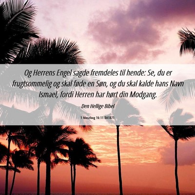Picture 06 - 1 Mosebog 16:11 DA1871 - Og Herrens Engel sagde fremdeles til hende: Se, - Bible Verse Picture