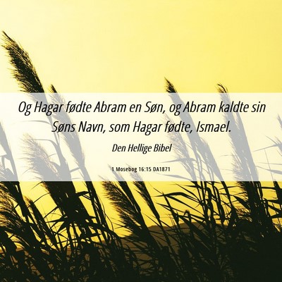 Picture 06 - 1 Mosebog 16:15 DA1871 - Og Hagar fødte Abram en Søn, og Abram kaldte - Bible Verse Picture
