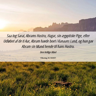 Picture 06 - 1 Mosebog 16:3 DA1871 - Saa tog Sarai, Abrams Hustru, Hagar, sin - Bible Verse Picture