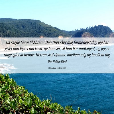 Picture 06 - 1 Mosebog 16:5 DA1871 - Da sagde Sarai til Abram: Den Uret sker mig - Bible Verse Picture